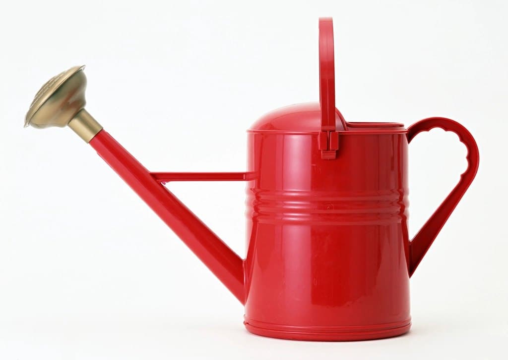 Galvanized Watering Can